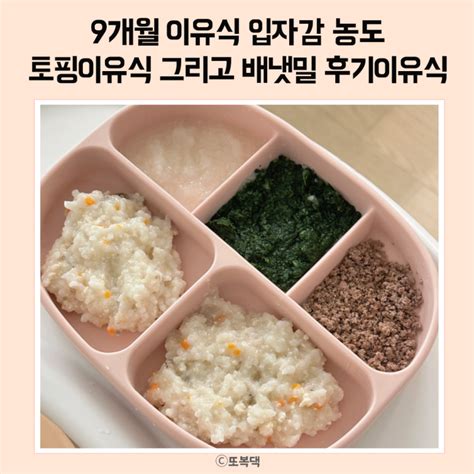 9개월 후기 이유식 엄마표 토핑 시판 이유식 배냇밀로 함께 먹이기 중기 후기 입자비교 네이버 블로그