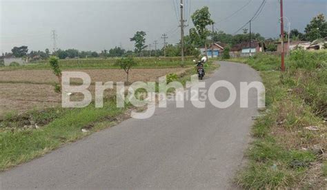 Tanah Sawah Dijual Di Colomadu Solo Harga Per Meter