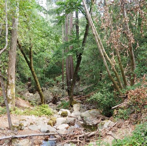 Category: Santa Clara County Parks - Lonely Hiker