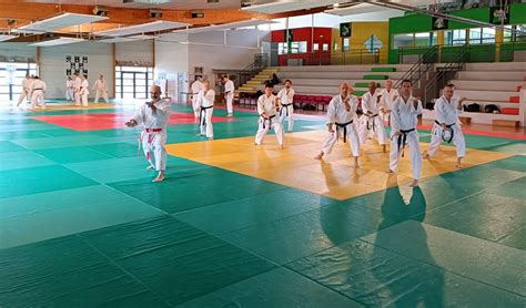 Plus De Personnes Au Stage Kata Bunka Ligue R Gionale Centre Val