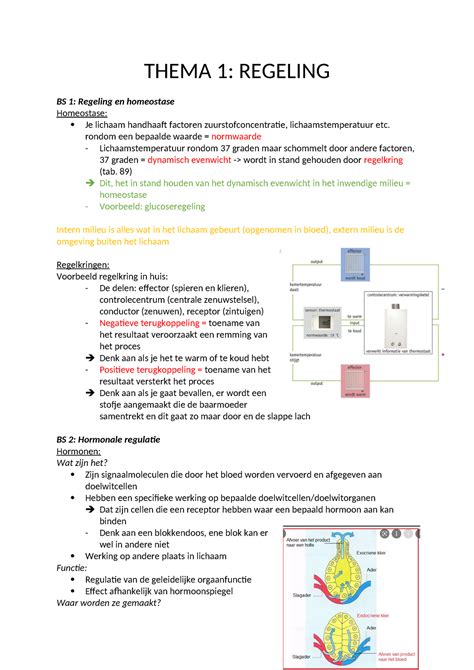 Bi Samenvatting Klas Bio Sv Thema Regeling Bs Regeling En