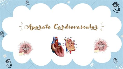 Aparato Cardiovascular Histolog A Enfermer A Udocz