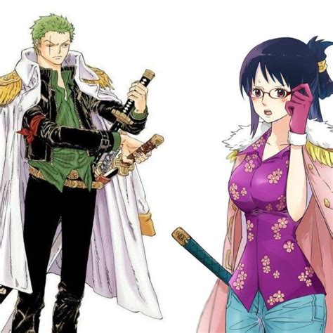 Zoro X Tashigi One Piece Anime Zoro One Piece