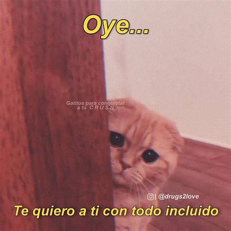 Indirectas De Amor Para Mi Crush Tumblr Estados Whatsapp Tristes