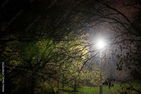 Creepy park at night with illumination Stock Photo | Adobe Stock