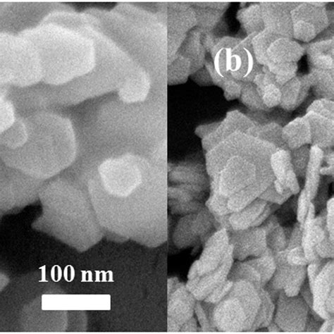 Two views of the β Co OH 2 sample by scanning electron microscopy The