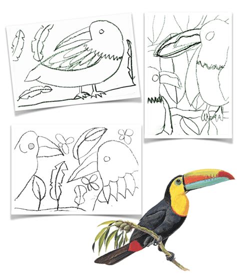 Terrific Toucans: Drawing and Painting Toucans for Fourth Grade | Deep ...