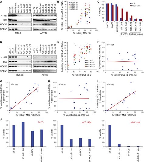 Chemical Genomics Identifies Small Molecule Mcl1 Repressors And Bcl Xl As A Predictor Of Mcl1