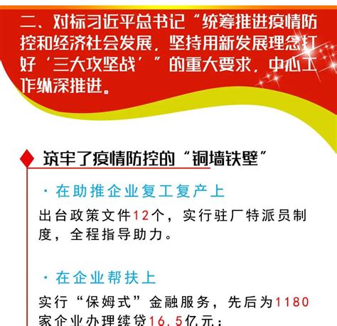 一图读懂丨2020年县委常委会工作报告摘编