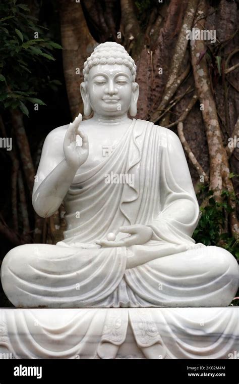 Buddha Poses And Postures The Meanings Of Buddha Statues Off