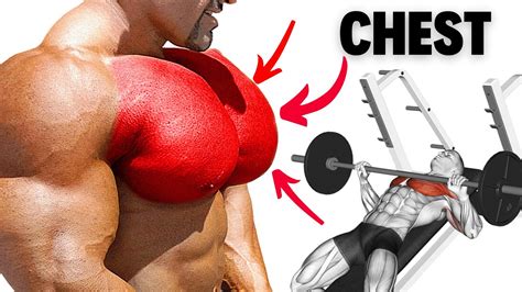 Top 8 Chest Workout For Bigger Chest Chest Workout Youtube