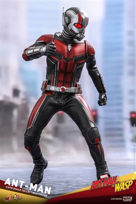 Ant Man Th Scale Hot Toys Collectible Coming Soon DisKingdom