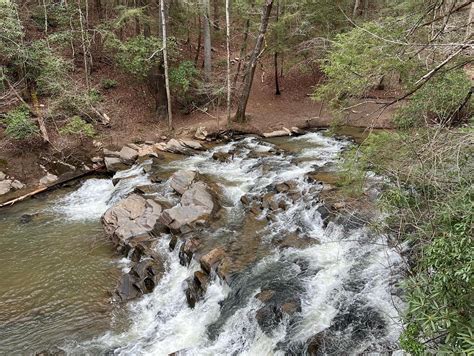 10 Fun Things To Do In Ellijay GA With Kids