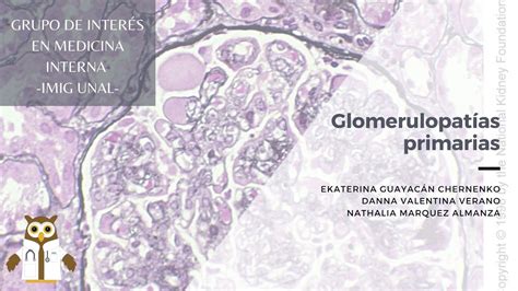 Charla Glomerulopatías primarias YouTube