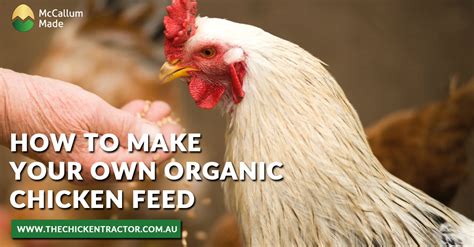 How To Make Your Own Organic Chicken Feed