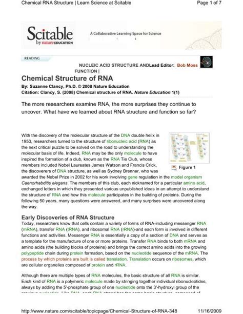 Chemical Structure of RNA