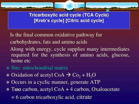 PPT Tricarboxylic Acid Cycle TCA Cycle Krebs Cycle Citric Acid