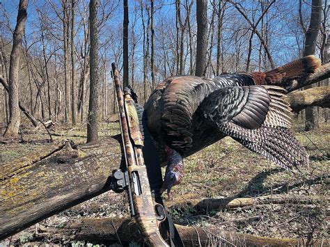 Where to Shoot a Turkey | Outdoor Life