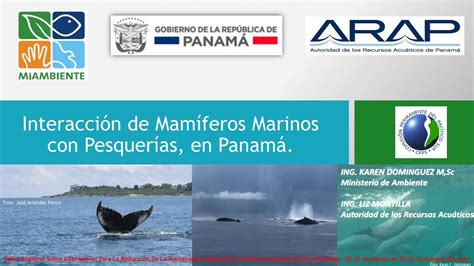 Pdf Interacci N De Mam Feros Marinos Con Pesquer As Cpps Dyndns