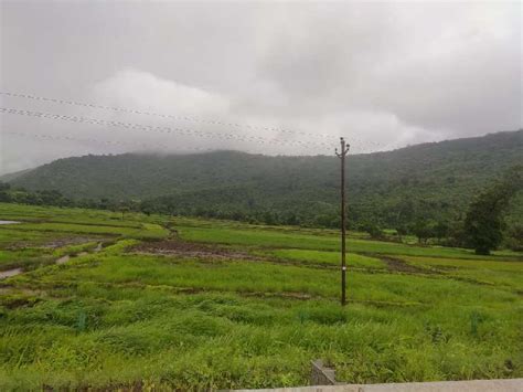 Agricultural Land Guntha For Sale In Mahad Raigad Rei