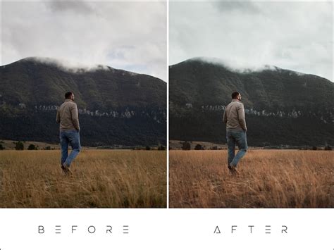 Cinematic Earthy Lightroom Mobile And Desktop Presets Etsy