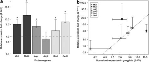 Average Relative Gene Expression Fold Change Across Gongylidia