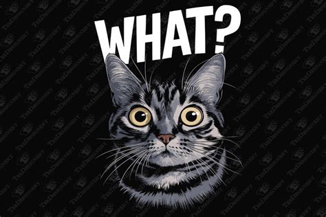 Funny Surprised Cat What Meme Humor Graphic By Teedesignery