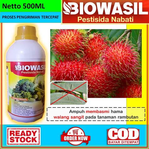 Jual Obat Anti Hama Walang Sangit Untuk Tanaman Rambutan Biowasil