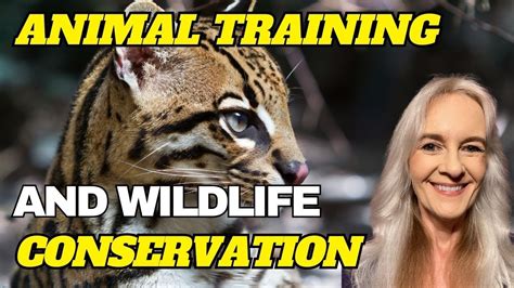 Animal Training And Wildlife Conservation Youtube