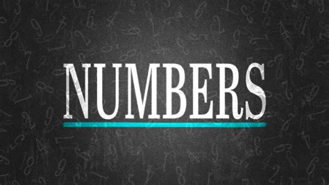 Book of Numbers – Ministry Designs