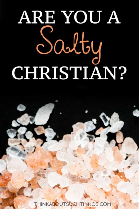 Salt Of The Earth The Bible S Meaning To Being A Salty Christian