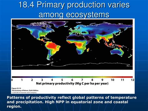 Ppt Biol Principles Of Ecology Lecture Ecosystem Ecology