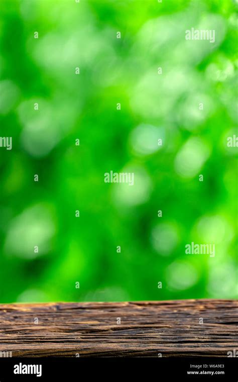 200+ Background Green Blur Hd Pictures - MyWeb