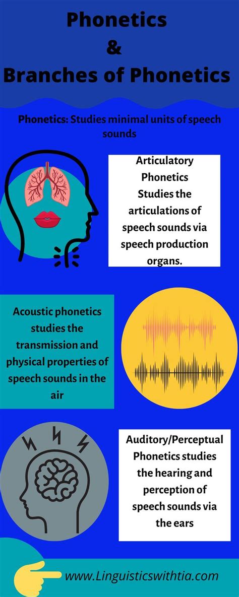 Phonetics Branches Of Phonetics Phonetics Study Minimal Physical