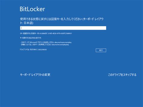 windowsbitlocker fd magazine