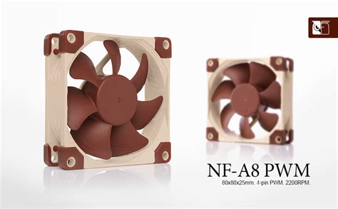 Noctua NF-A8 PWM, Premium Quiet Fan, 4-Pin (80mm, Brown) : Amazon.co.uk ...