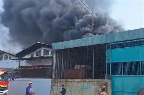 Gudang Helm Di Tegal Alur Kalideres Kebakaran Mobil Damkar Dikerahkan