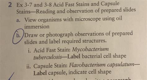 Solved Ex And Acid Fast Stains And Capsule Chegg