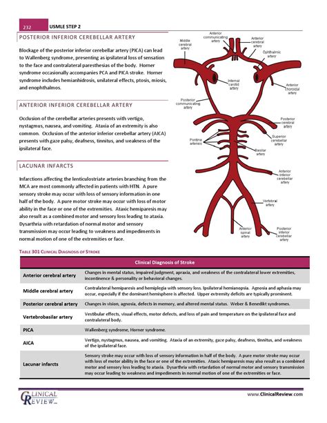 Usmle Step 2 Second Edition 072208 Part 1 By Surgisphere Issuu