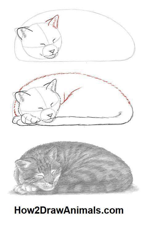 Pin by Anastasia Baranova on Животные формы Cats art drawing Animal