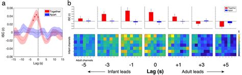 A Inter Subject Correlation Isc Between The Adult And Infant