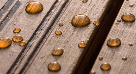 Защита дерева от влаги