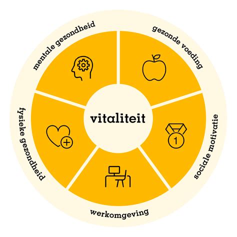 Het Model Van Vitaliteit Voor Vitale Werknemers Asr Vitality