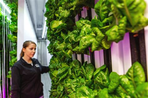 A Hydroponic Farm In A Refurbished Train Car Is Enriching The Denver