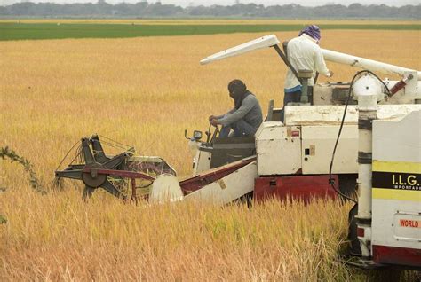 A horas de una nueva movilización de arroceros el Gobierno anuncia la