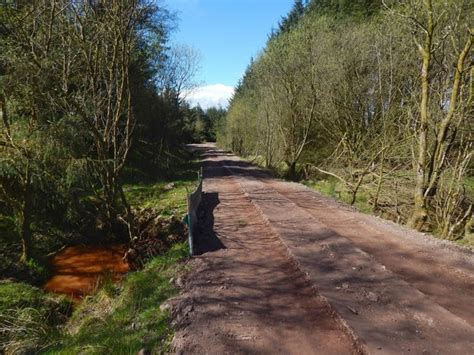 Forestry Track On Bannachra Muir © Lairich Rig Cc By Sa 2 0 Geograph Britain And Ireland