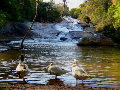 Cachoeiras Em Socorro Sp - Oito cachoeiras para conhecer em Socorro, SP