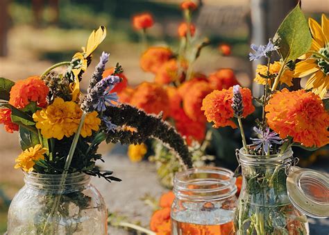 Celebrating Abundance at Our Stockton Community Farm | The Edible