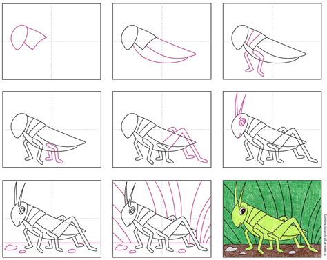 Easy How to Draw a Grasshopper Tutorial and Grasshopper Coloring Page — JINZZY