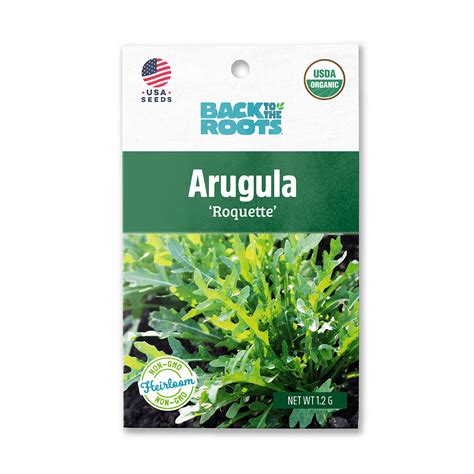 Back To The Roots Organic Roquette Arugula Vegetable Seeds 1 Seed